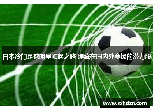 日本冷门足球明星崛起之路 埋藏在国内外赛场的潜力股