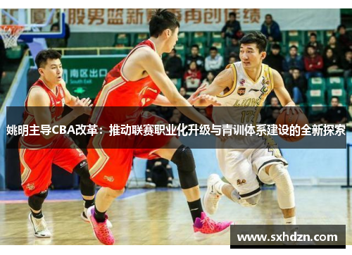 姚明主导CBA改革：推动联赛职业化升级与青训体系建设的全新探索