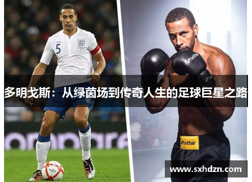 多明戈斯：从绿茵场到传奇人生的足球巨星之路