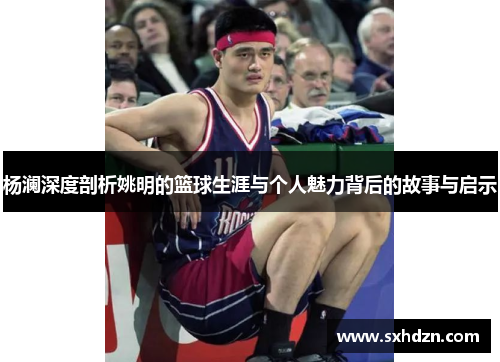 杨澜深度剖析姚明的篮球生涯与个人魅力背后的故事与启示